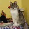Отзыв от Людмила Озерова